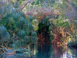Riserva naturale Fiume Ciane e Saline di Siracusa